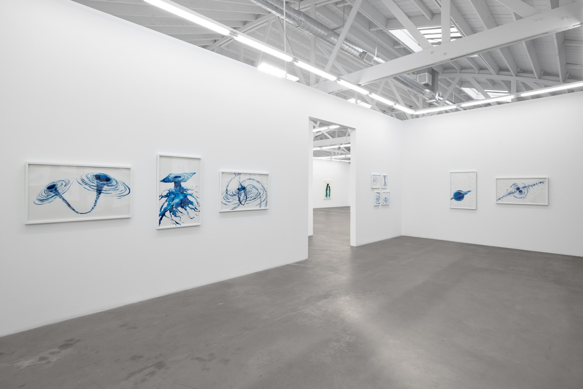 Installation view of Lia Halloran: Warped Side, on view from November 4 - December 22, 2023