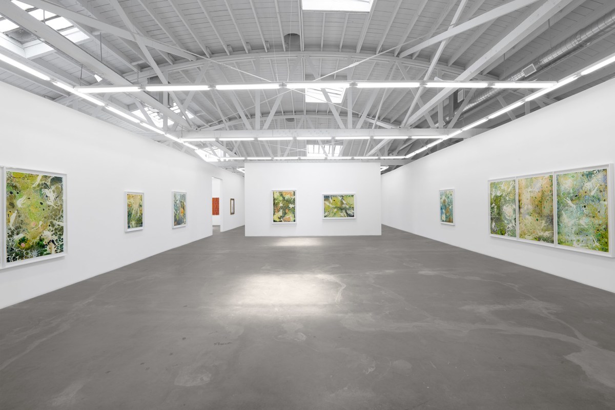 Installation view of Melissa Huddelston: Primordial Spring,&nbsp;June 22 - August 3, 2024