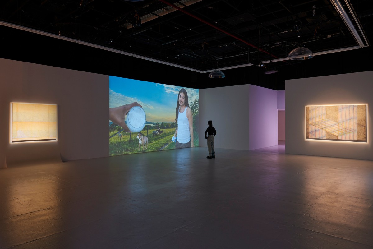 Installation view of Animal Static