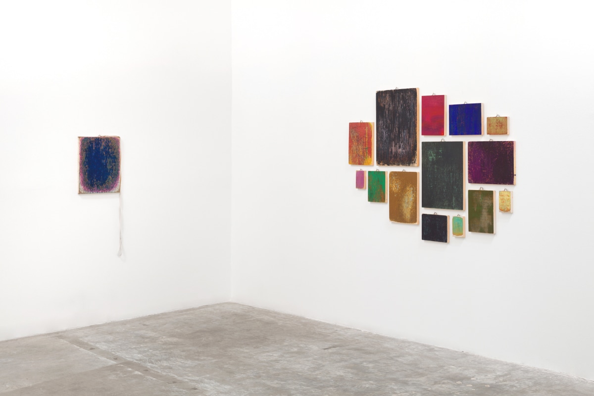 Installation View of Margie Livingston: The Earth is a Brush