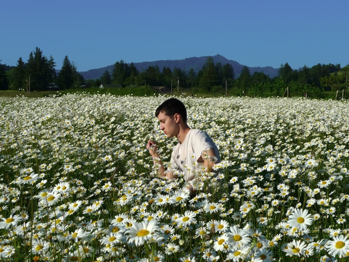 Zackary Drucker and Rhys Ernst, &quot;Relationship, #18 (Daisies),&quot; 2008-2014, Digital chromogenic print, 18 x 24 inches