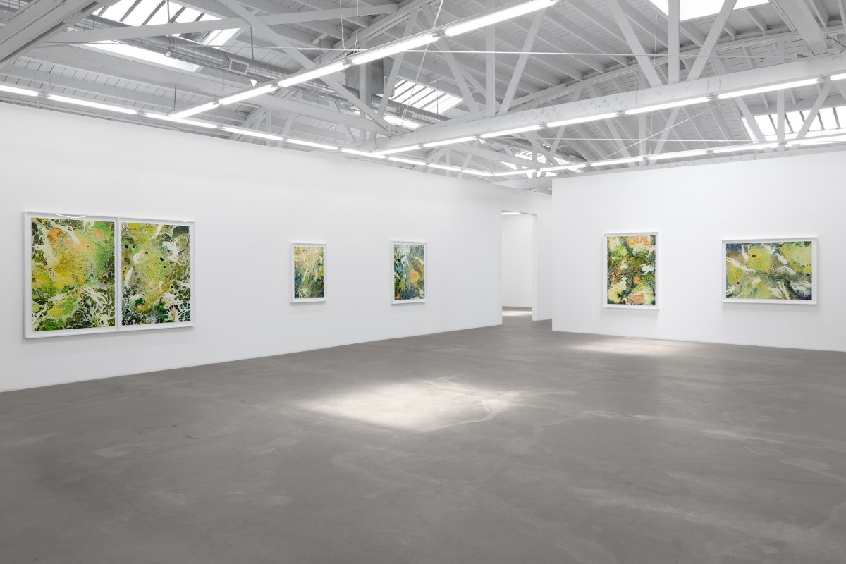 Installation view of Melissa Huddelston: Primordial Spring,&nbsp;June 22 - August 3, 2024