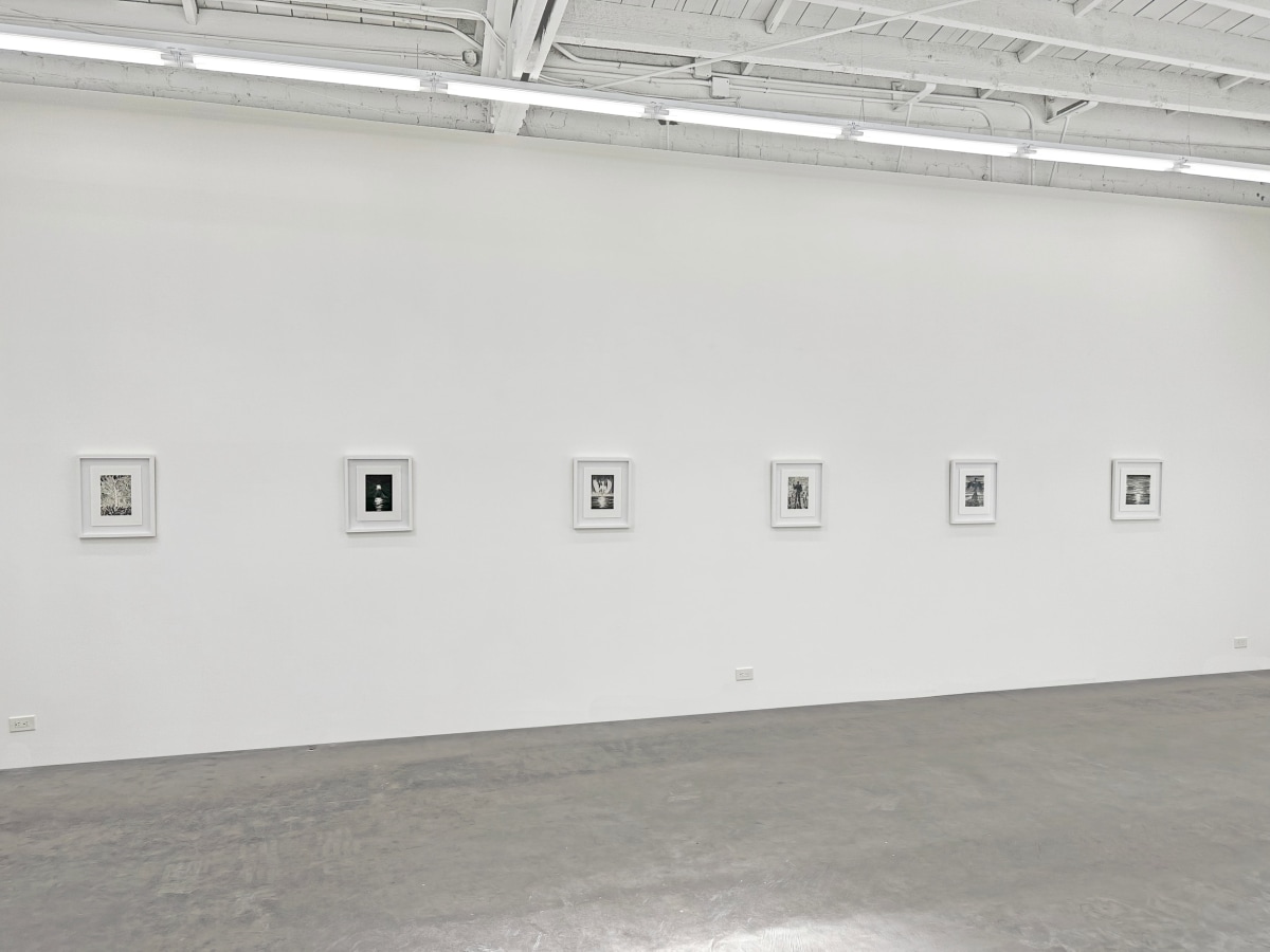 Installation view of ERIK OLSON: The Mountain and the Sea, on view June 17 - August 5, 2023