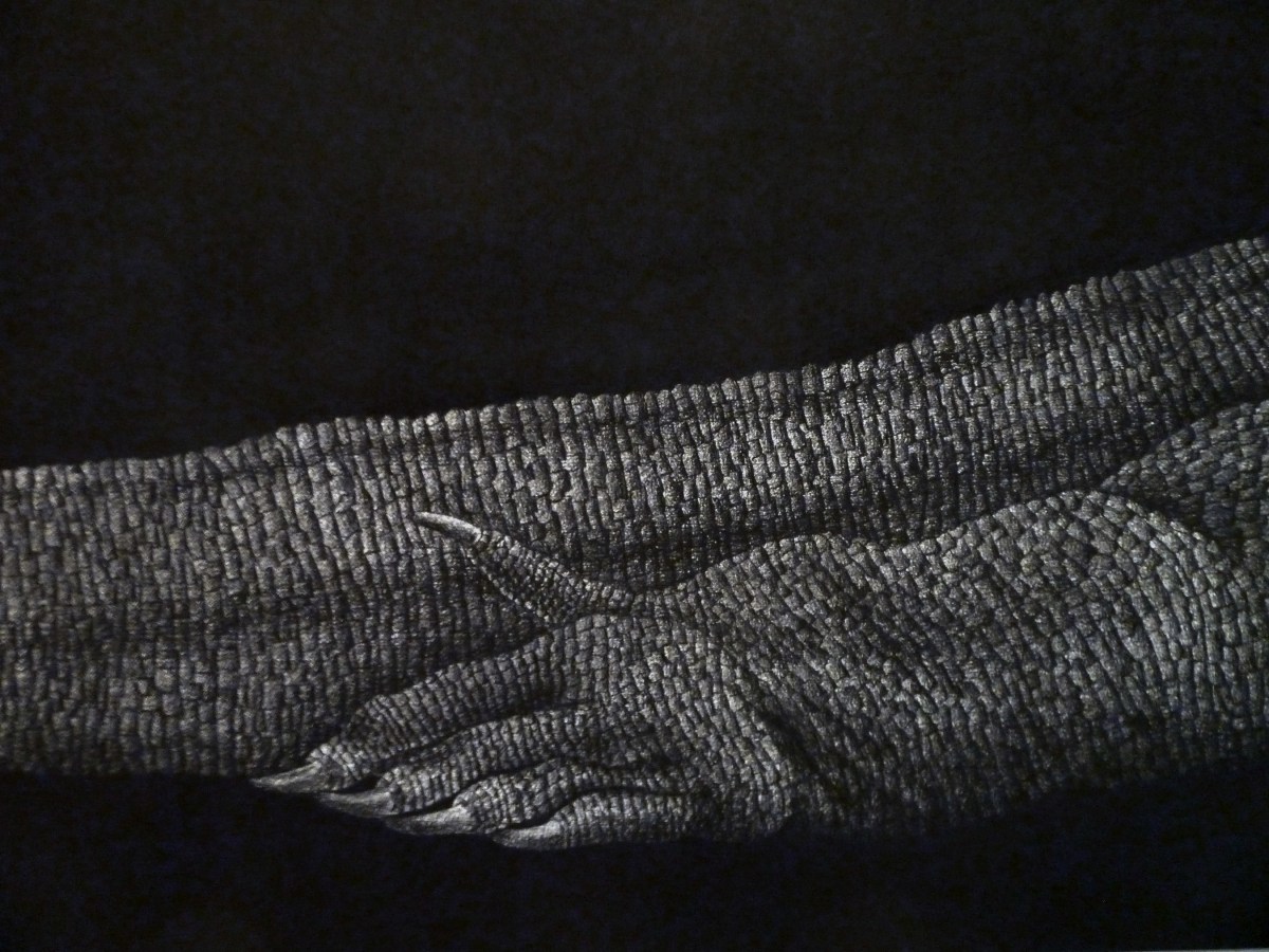Marisol Rend&oacute;n Detailed View of:  I'm Just a Lizard?, 2013  ​Charcoal on paper 24 x 120 in.