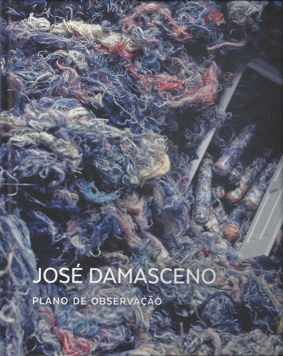 José Damasceno - Plano de Observação - Publicações - Millan