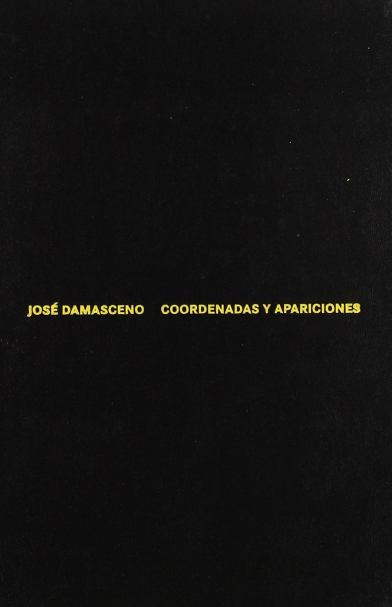 José Damasceno - Coordenadas y Apariciones - Publicações - Millan