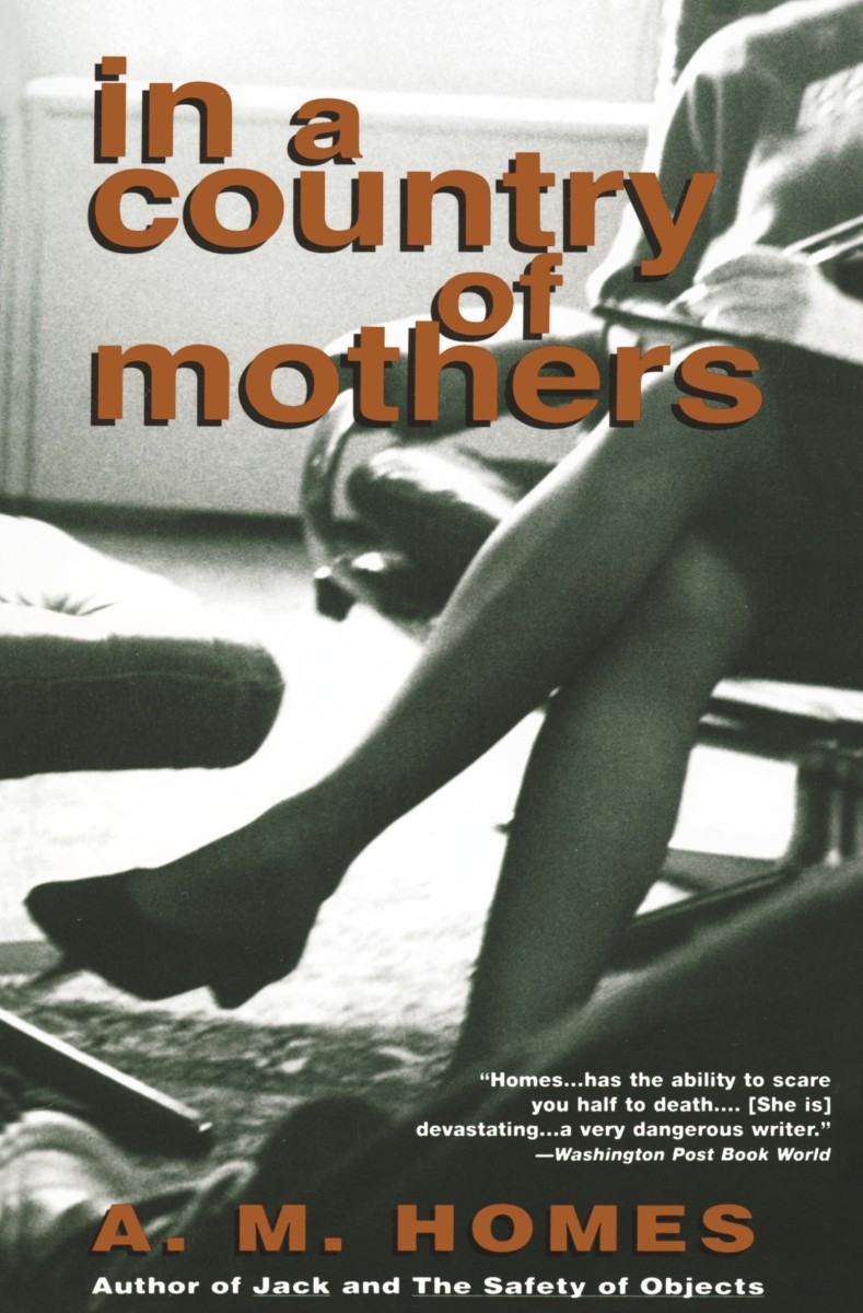 In a Country of Mothers - Books - A.M. Homes