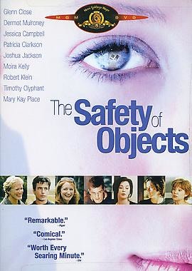 Safety of Objects - 2001 - Other Works - A.M. Homes