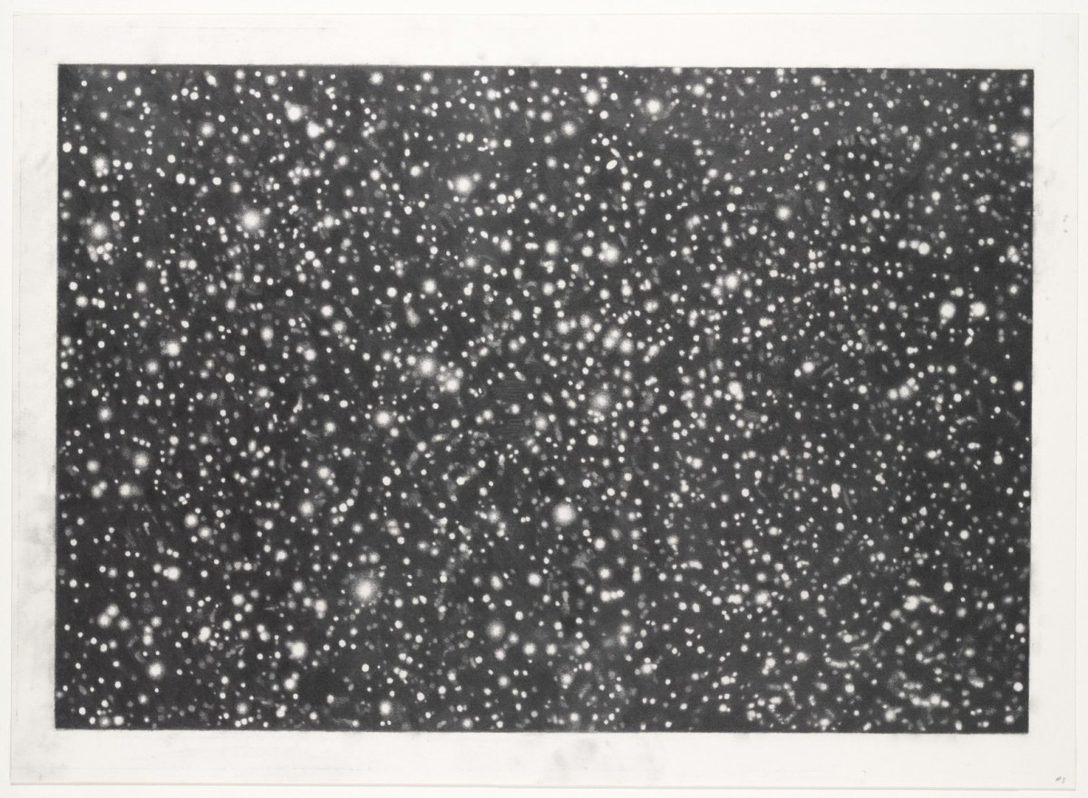 Vija Celmins
Star Field III,&amp;nbsp;1982&amp;ndash;1983
graphite on acrylic ground on paper
21 x 27 inches
Collection of The Museum of Modern Art, New York
Gift of Edward R. Broida