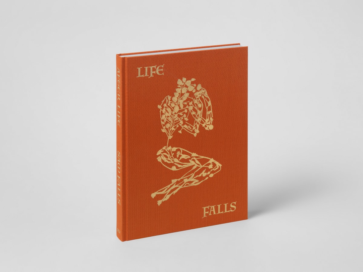 Sam Falls - After Life, 2023 - Publications - Galerie Eva Presenhuber
