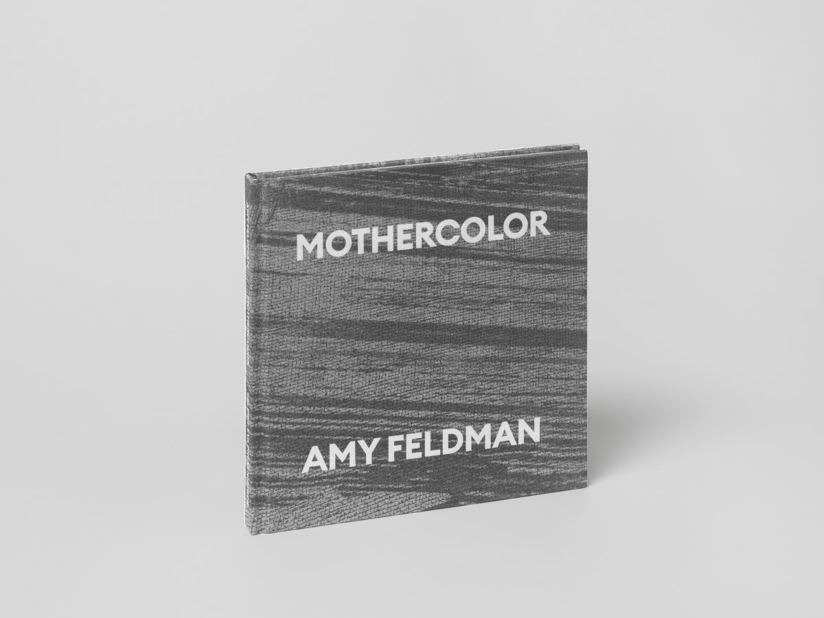 Amy Feldman - Mothercolor, 2022 - Publications - Galerie Eva Presenhuber