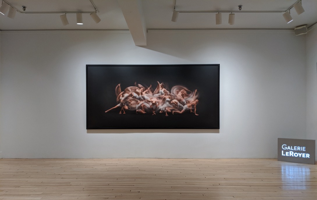 Ali Alışır | Galerie LeRoyer
