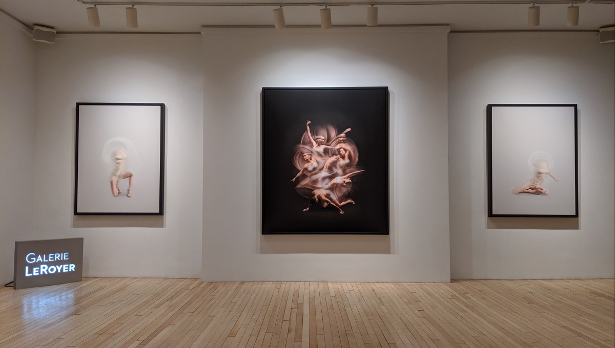 Ali Alışır | Galerie LeRoyer