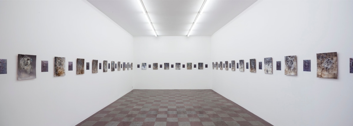 Installation Shot, ugly =&ne; beauty pretty never, 2013