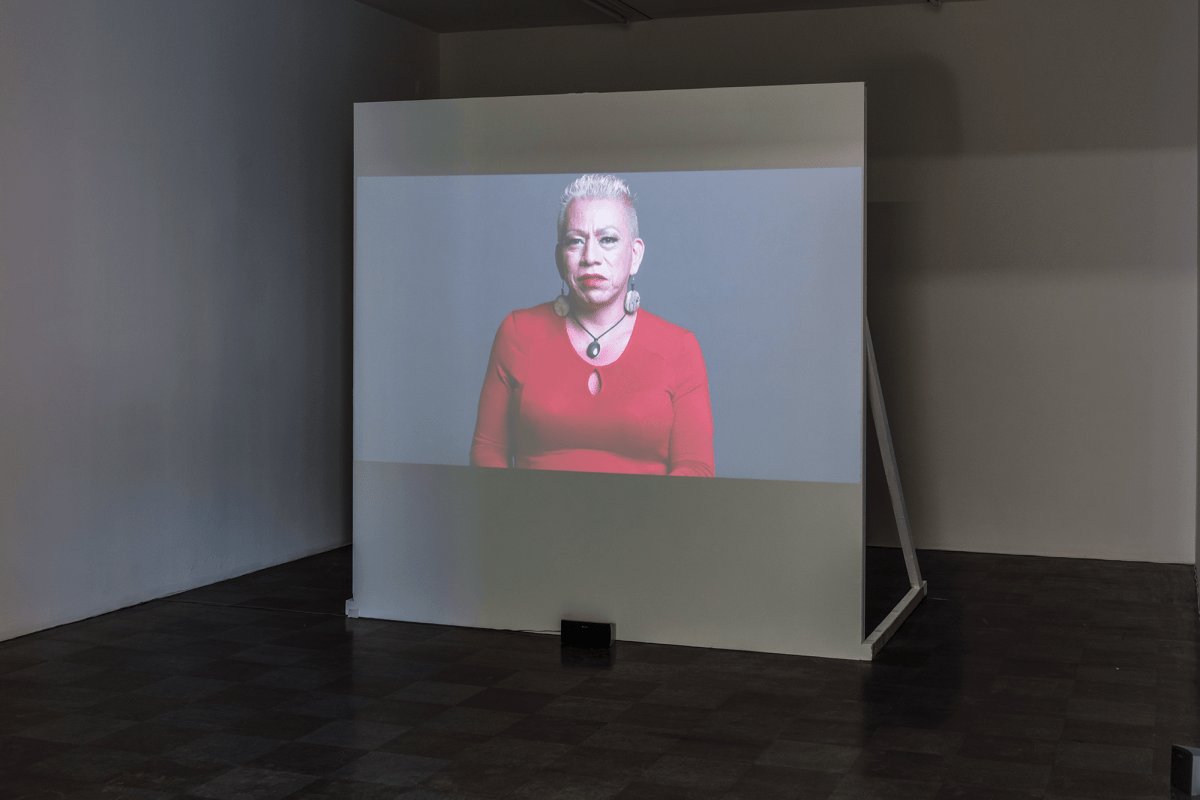 Installation Shot, The Trans List, 2017