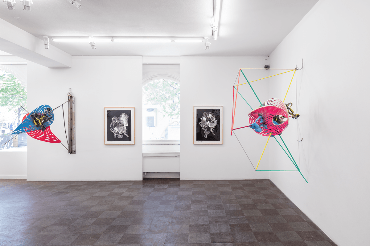 Installation Shot, Recent Work, 2017