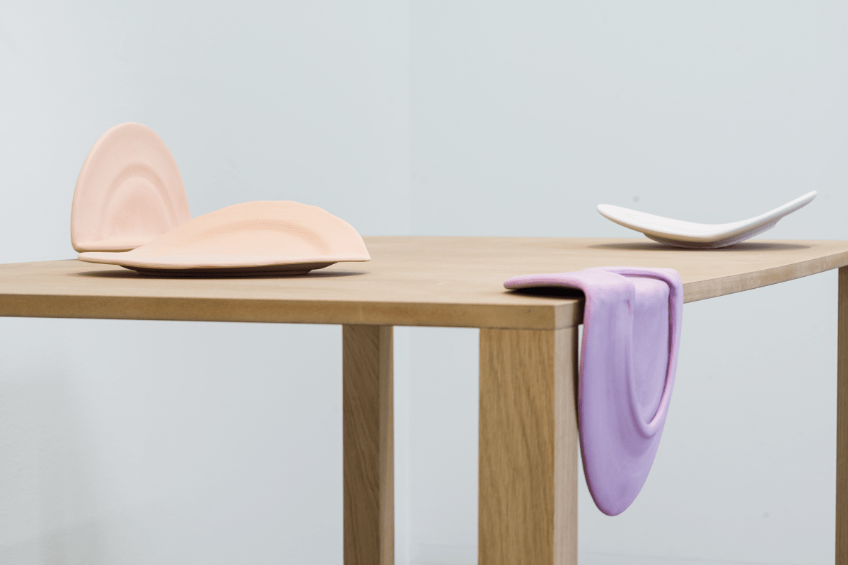 Installation Shot, Paul, the Peacock, the Raven, and the Dove, 2015