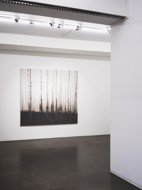 Installation view, Wintershow, 2021 - 2022