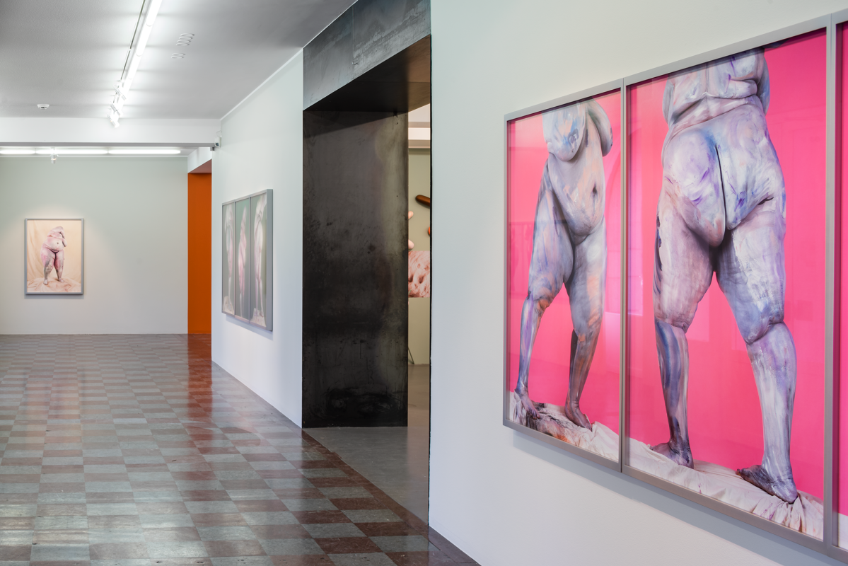 Installation Shot, Nudes/ Corpo Mecânico, 2015