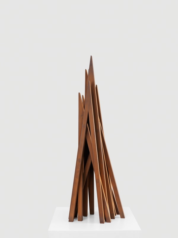 Bernar Venet