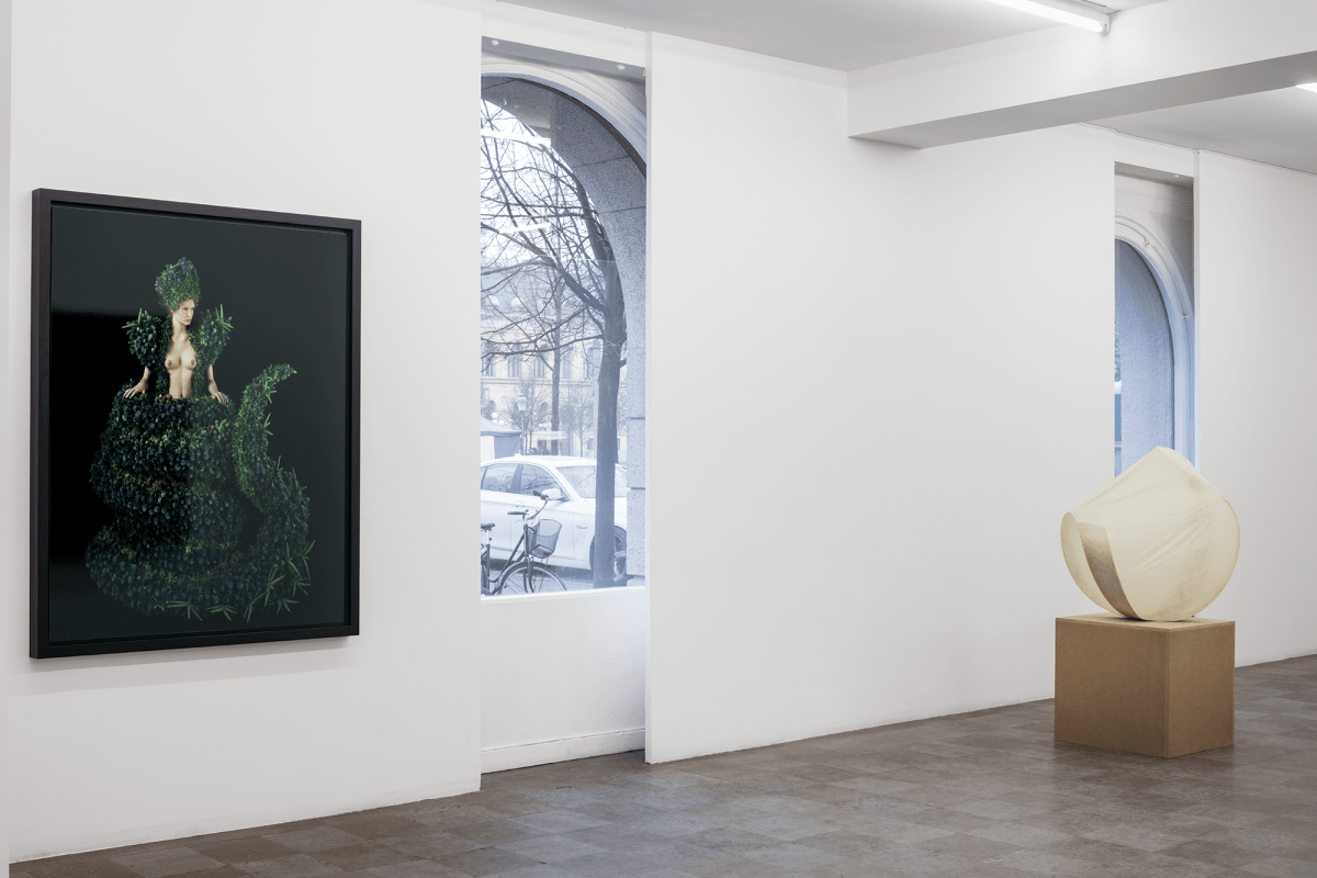 Installation Shot, Ikaros + Courtesy Private Collection, 2017