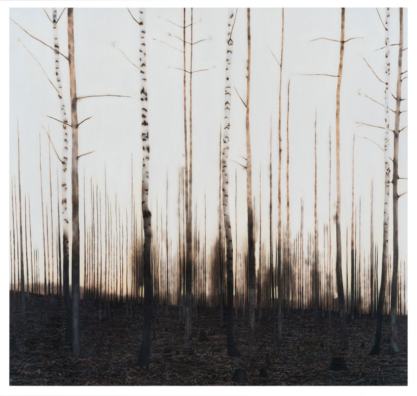 &Auml;ngd, Ylva Ceder