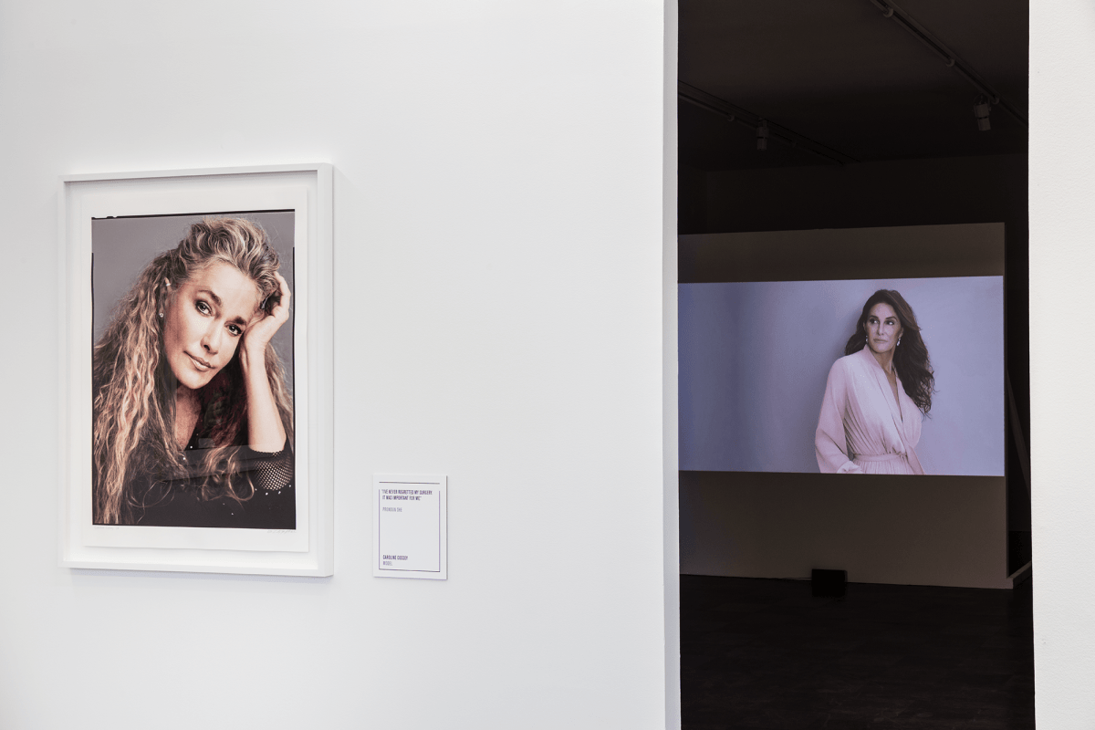 Installation Shot, The Trans List, 2017