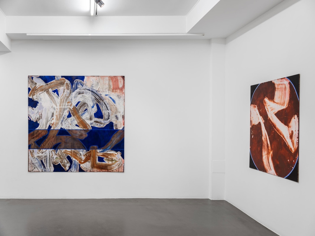 Installation Shot, Solid Body, Fluid Mind, 2019