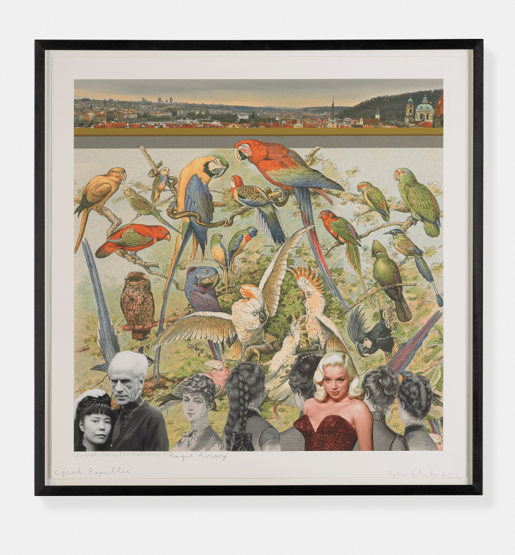 Peter Blake