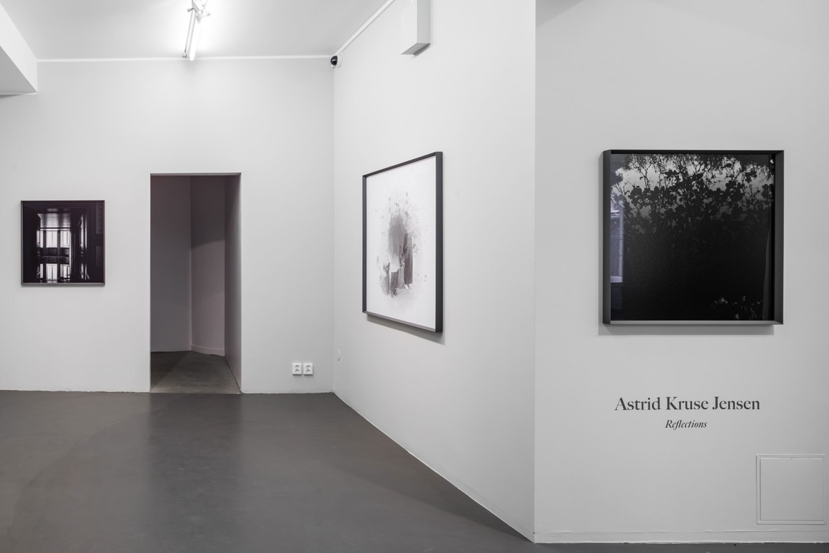 Installation Shot, Reflections, 2016