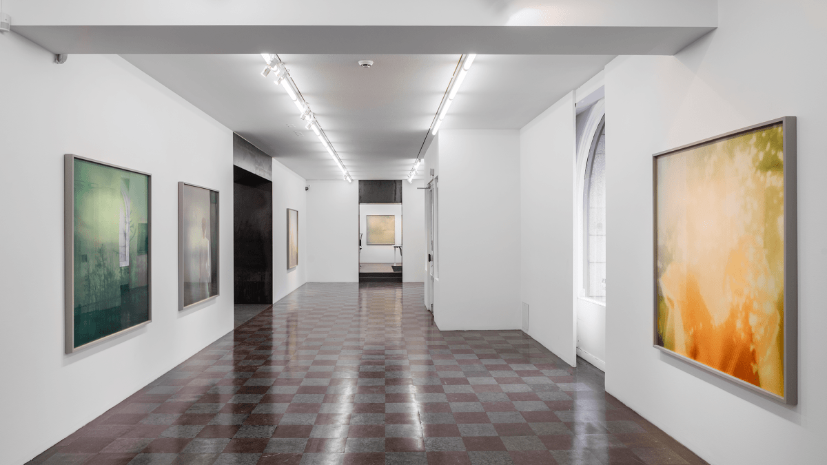 Installation Shot, Beauty Will Always Be Disturbed, 2015