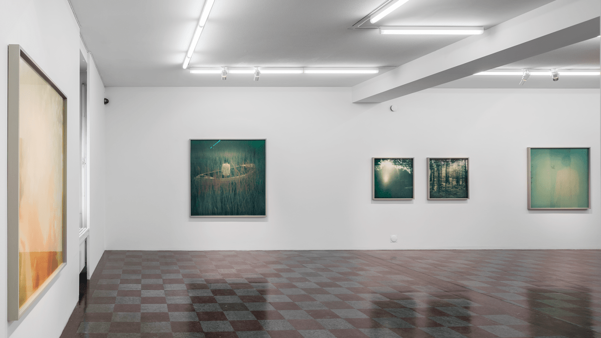 Installation Shot, Beauty Will Always Be Disturbed, 2015