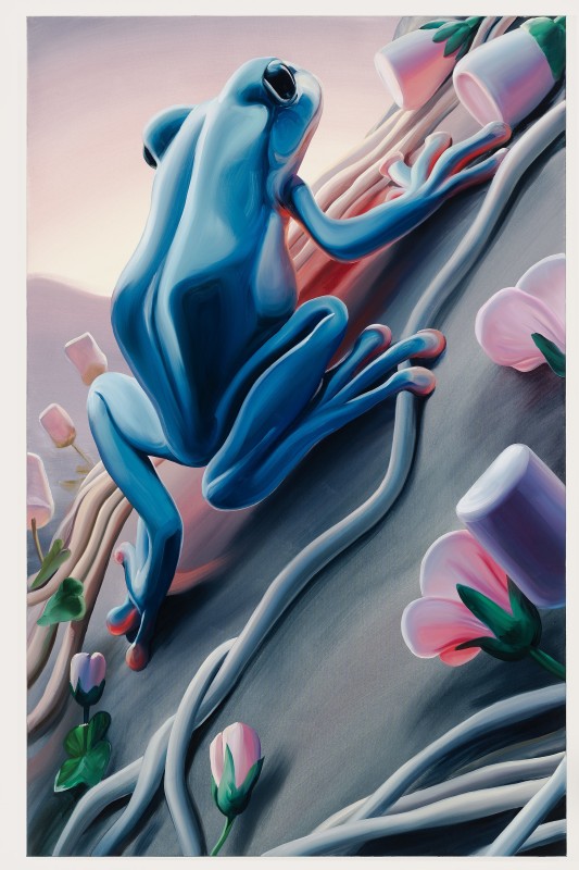 Malin Molin, A wish to ascend