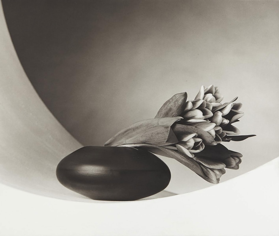 Robert Mapplethorpe