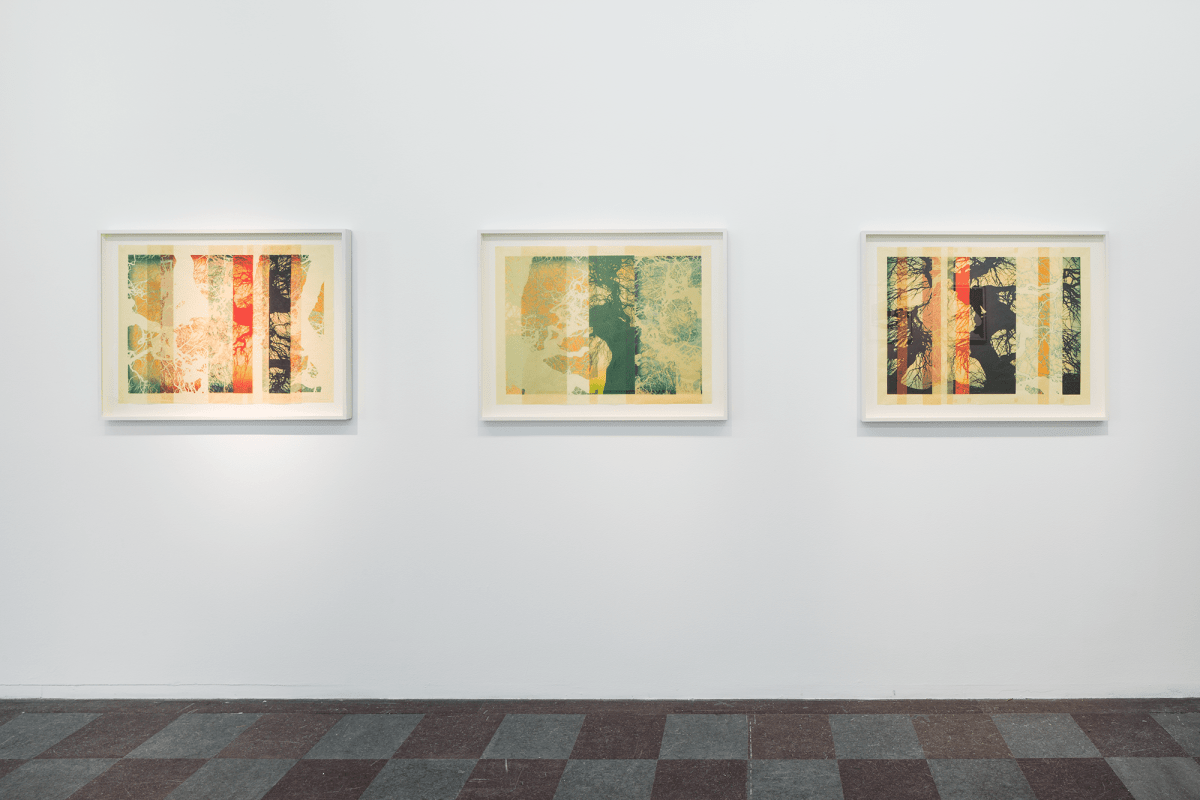 Installation Shot, New Works, 2014