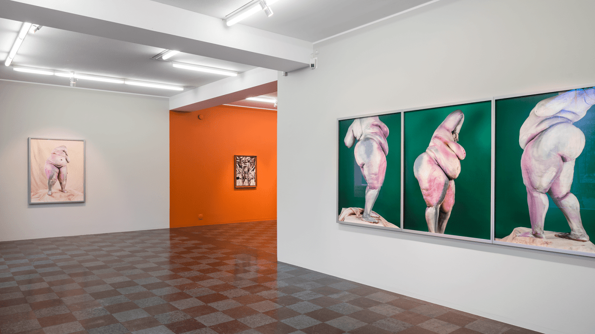 Installation Shot, Nudes/ Corpo Mecânico, 2015