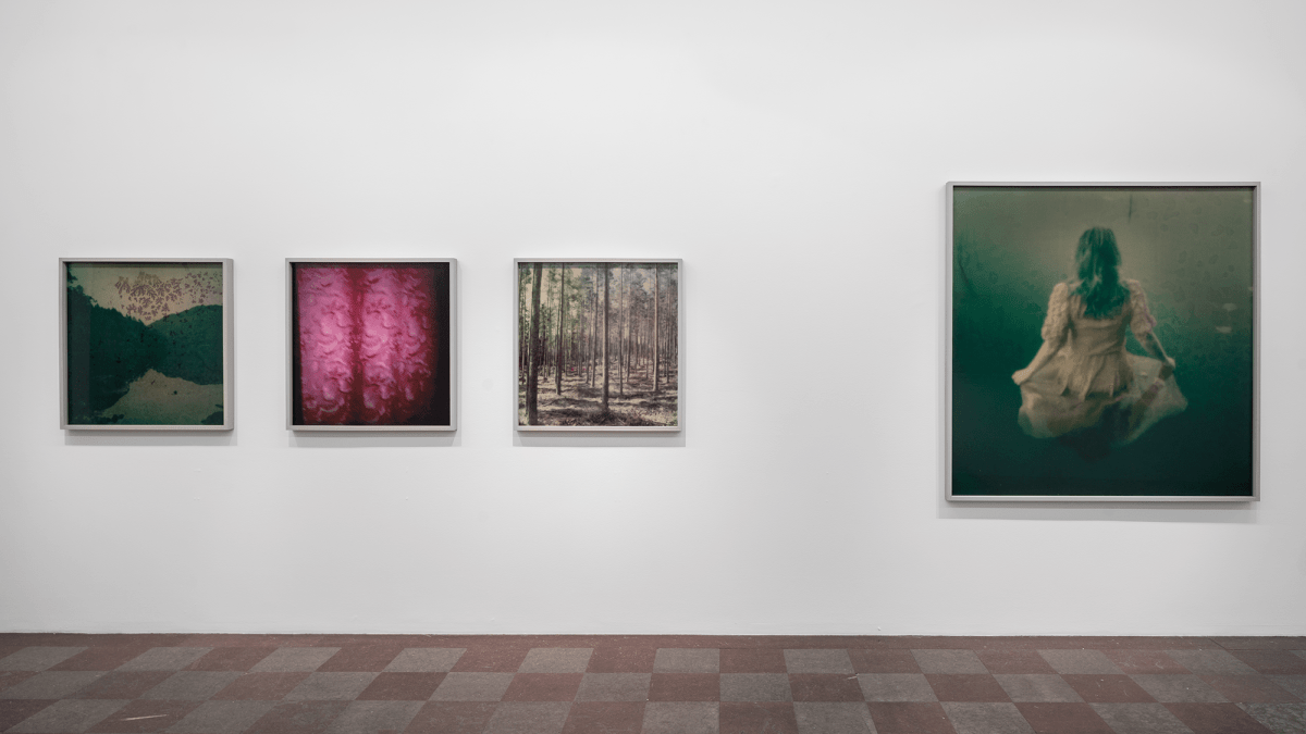 Installation Shot, Beauty Will Always Be Disturbed, 2015