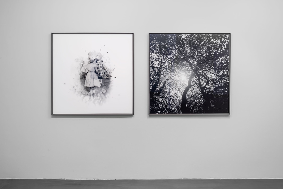 Installation Shot, Reflections, 2016