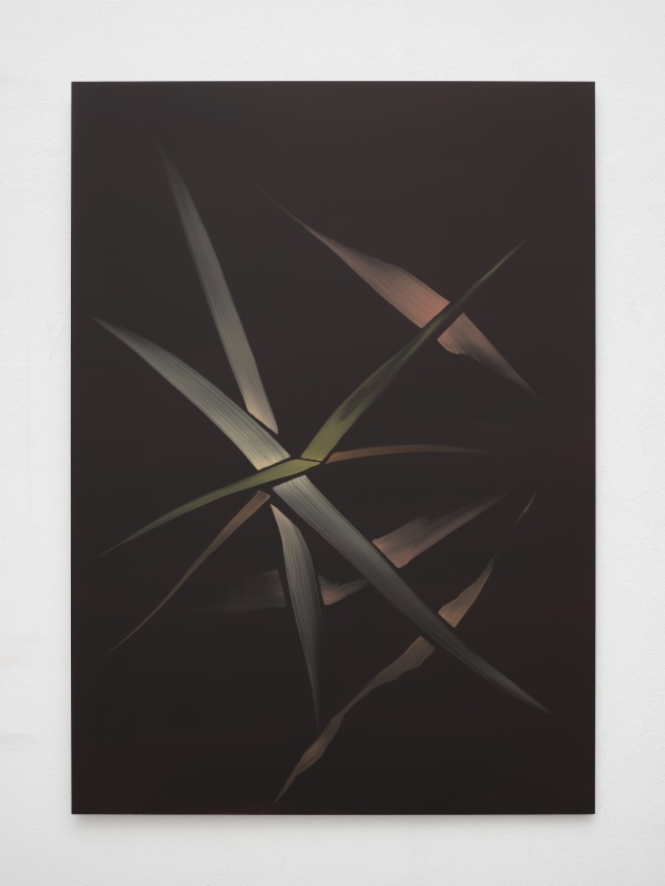 Marjolein Rothman, Foliage XIII, 2025