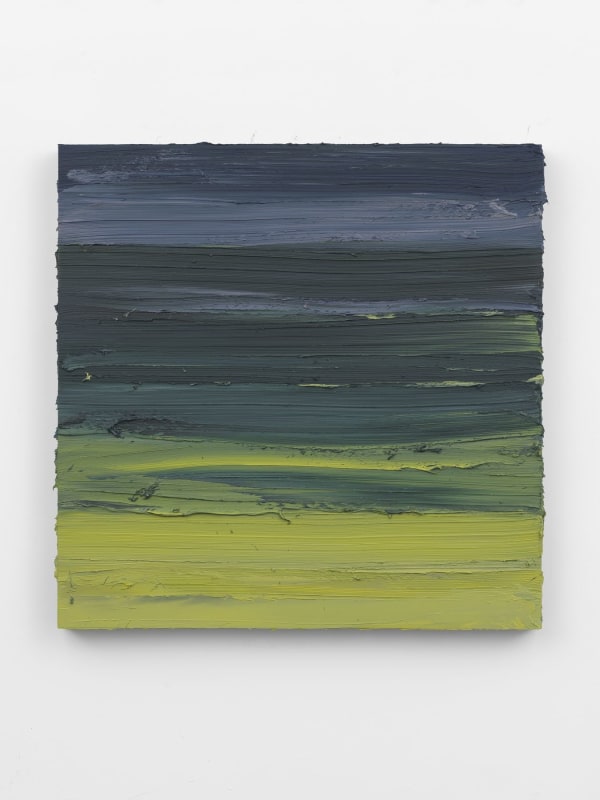 Jason Martin, Untitled (Indigo/Zinc yellow), 2020