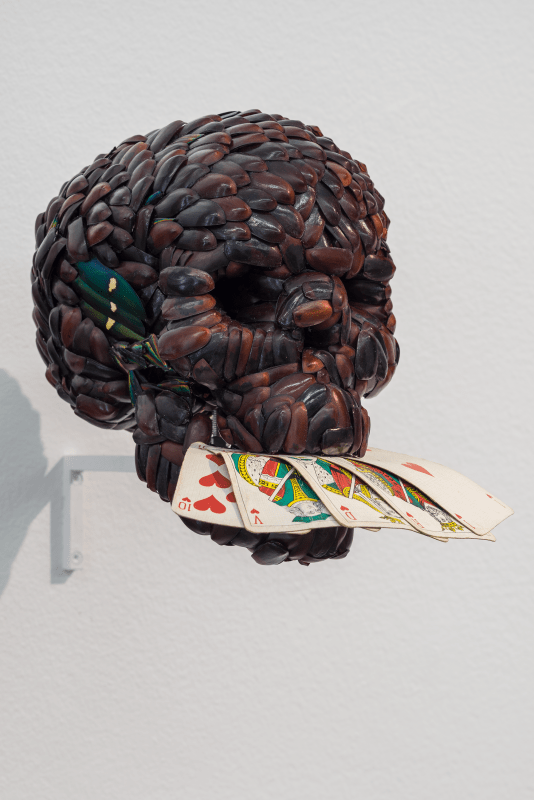 Installation Shot, Tribute to Hiernymus Bocsch in Congo (2011-2013), 2015