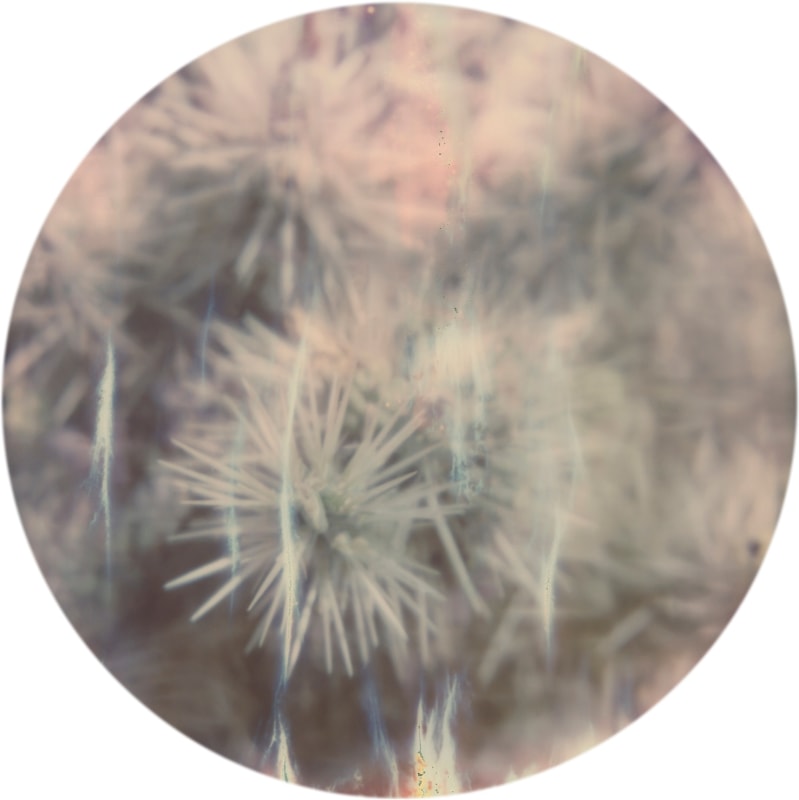 Astrid&nbsp;Kruse Jensen, Resonance #6, 2021