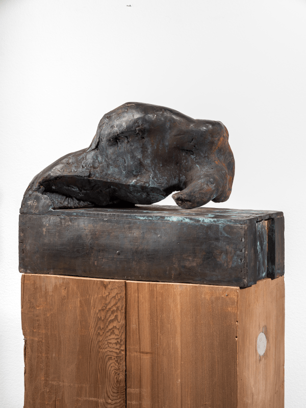Claes Hake