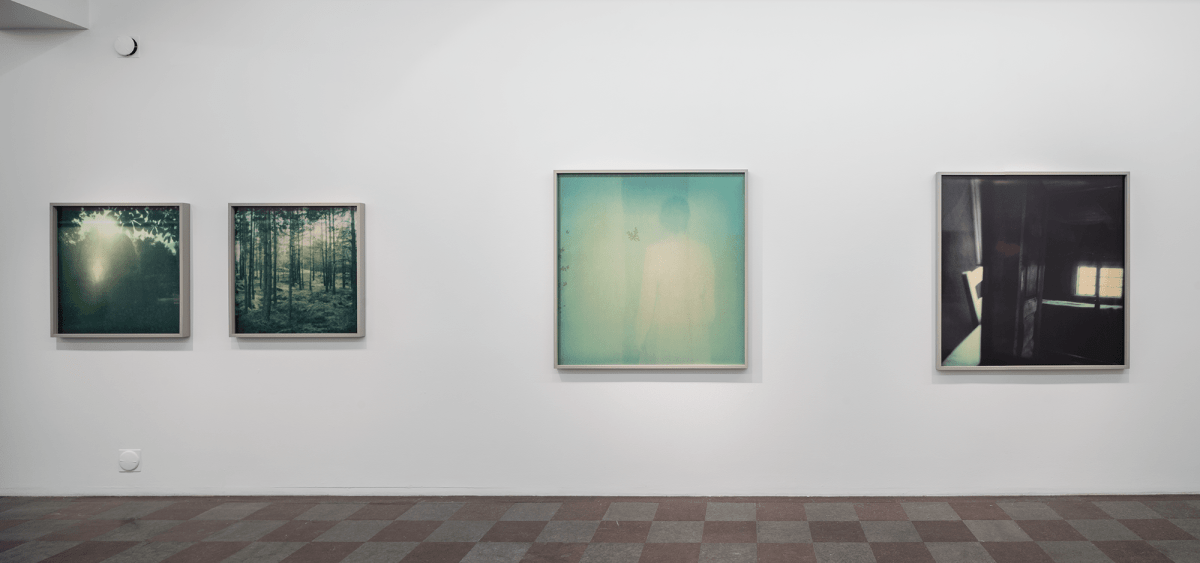 Installation Shot, Beauty Will Always Be Disturbed, 2015