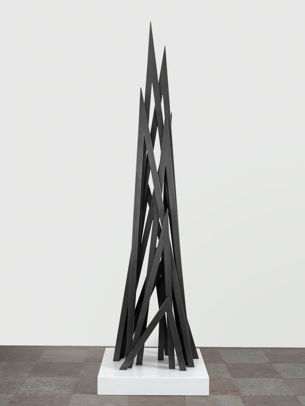Bernar Venet
