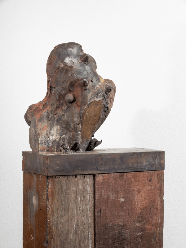 Claes Hake