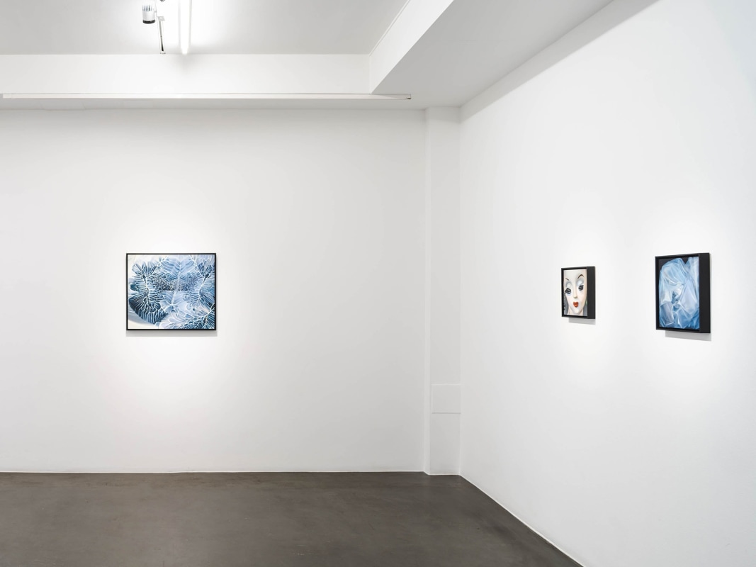 Installation view, The Naked Dive, 2022 Photo Jean-Baptiste Béranger