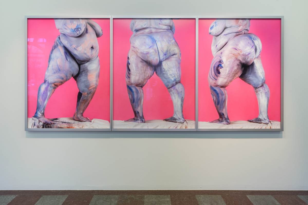 Installation Shot, Nudes/ Corpo Mecânico, 2015
