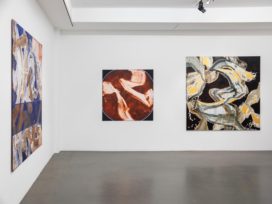 Installation Shot, Solid Body, Fluid Mind, 2019