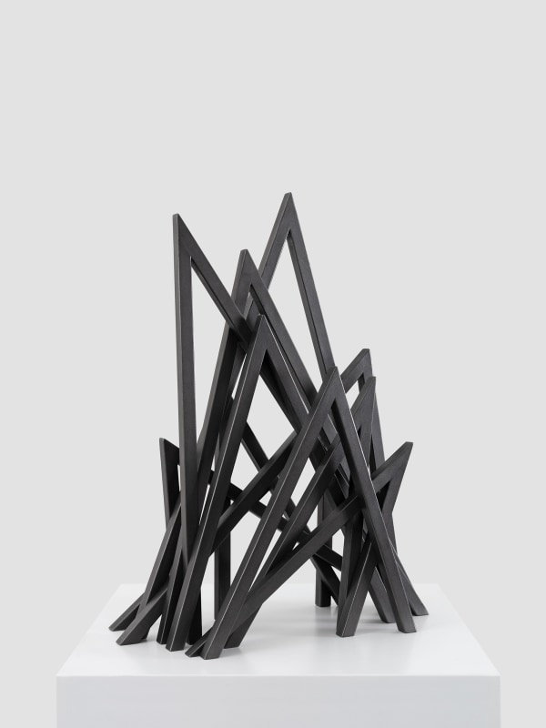 Bernar Venet